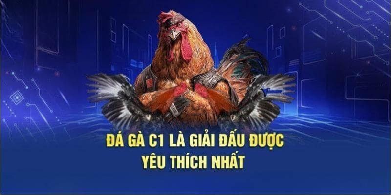 Ưu điểm nổi bật của đá gà cúp C1 thu hút kê thủ tham gia