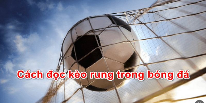 Mẹo bắt kèo cược rung luôn thắng từ cao thủ