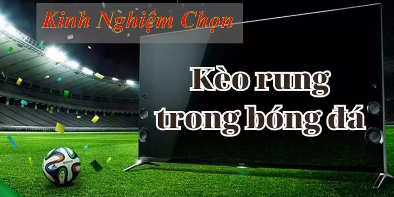 Lời khuyên thời điểm bắt kèo rung chuẩn xác