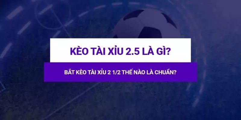 Hướng dẫn cách soi kèo tài xỉu 2 1/2 chuẩn xác tại 78WIN