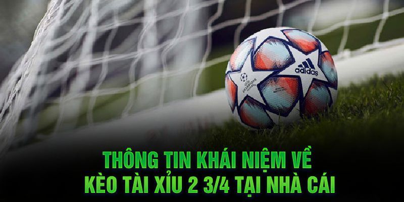 Kinh nghiệm chơi kèo Tài Xỉu 2 3/4 từ các cao thủ