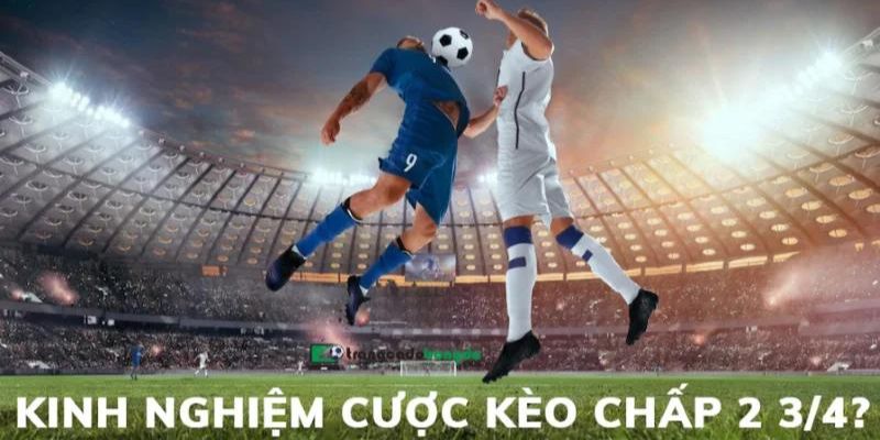 Cách thức đọc kèo Tài Xỉu 2 3/4 tại 78WIN