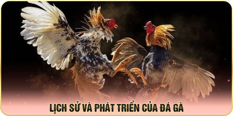 Tìm hiểu Luật gà đá chi tiết mà cược thủ cần nắm tại 78WIN