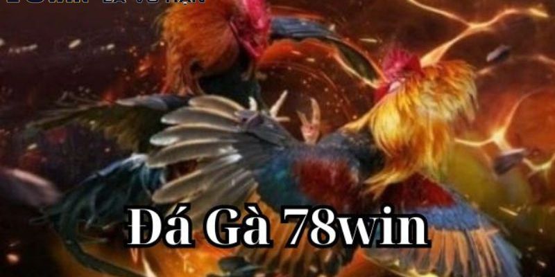 78Win - Địa chỉ chơi đá gà uy tín và hợp pháp