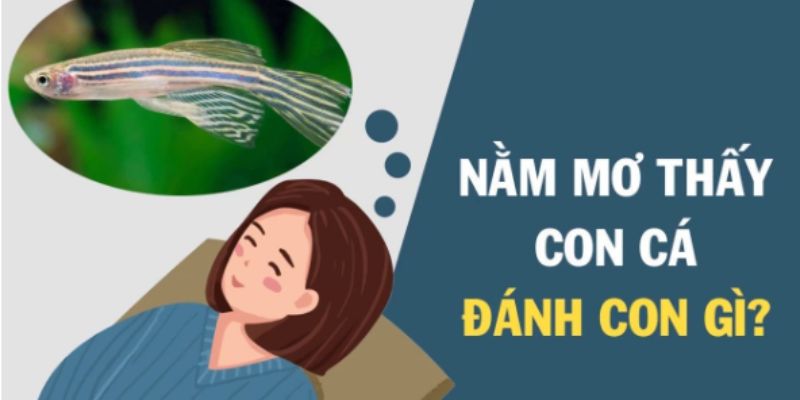 Nằm Mơ Thấy Cá - Ý nghĩa và con số may mắn tại 78WIN