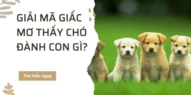 Những giấc mơ về chó phản ánh sự gắn bó và tình cảm trong cuộc sống, tiết lộ các thông điệp và điềm báo quan trọng liên quan đến mối quan hệ và cảm xúc của bạn.