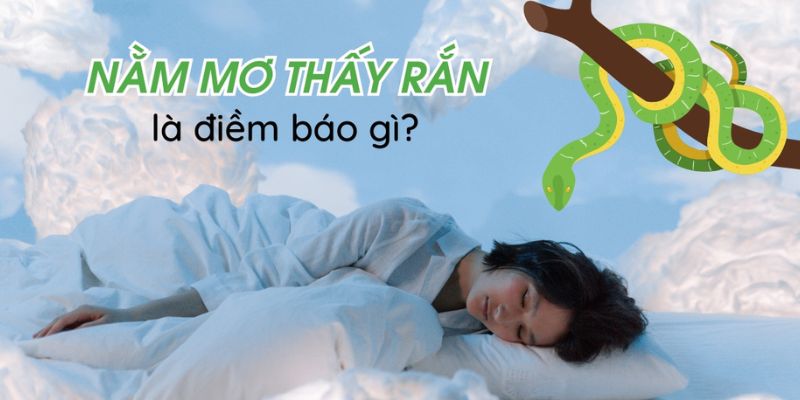 Giải mã điềm báo giấc mơ thấy rắn là lành hay dữ tại 78WIN